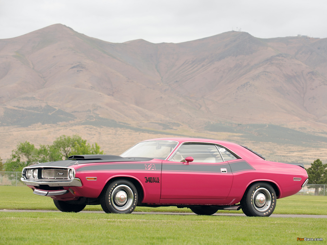 Dodge Challenger T/A 340 Six Pack 1970 images (1280 x 960)