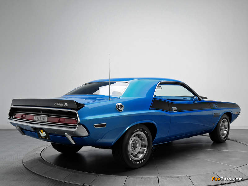 Dodge Challenger T/A 340 Six Pack 1970 pictures (800 x 600)