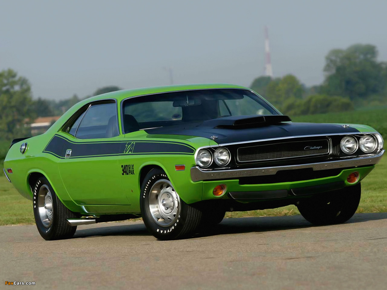Dodge Challenger T/A 340 Six Pack 1970 pictures (1280 x 960)