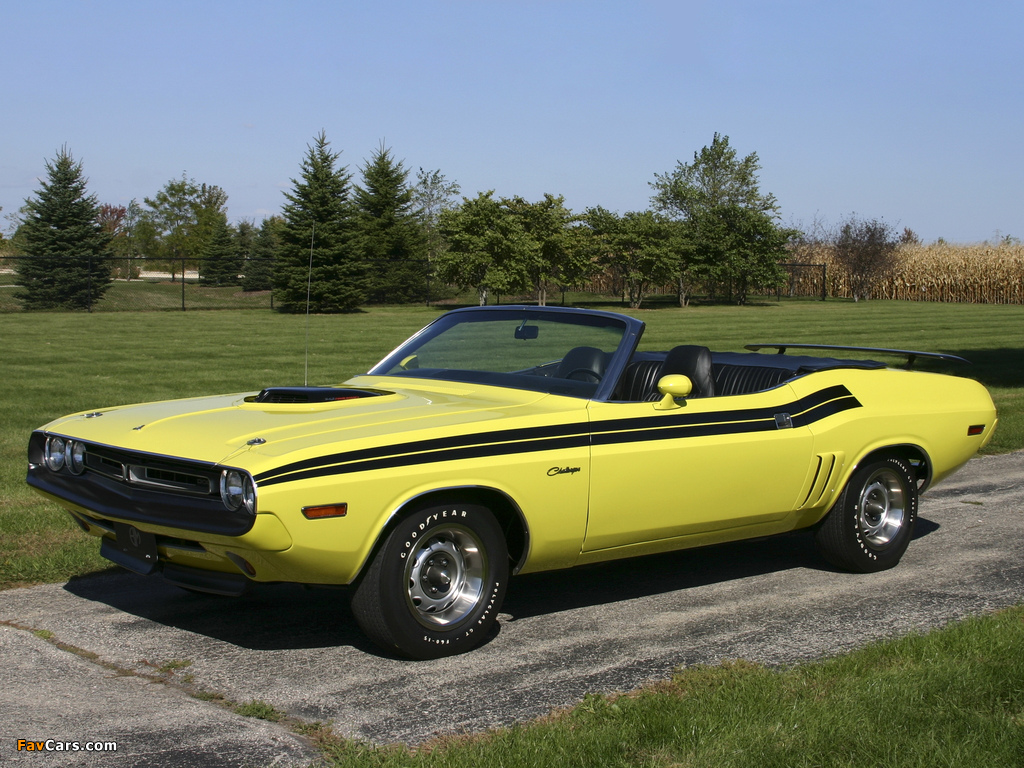 Dodge Challenger Convertible 1971 images (1024 x 768)