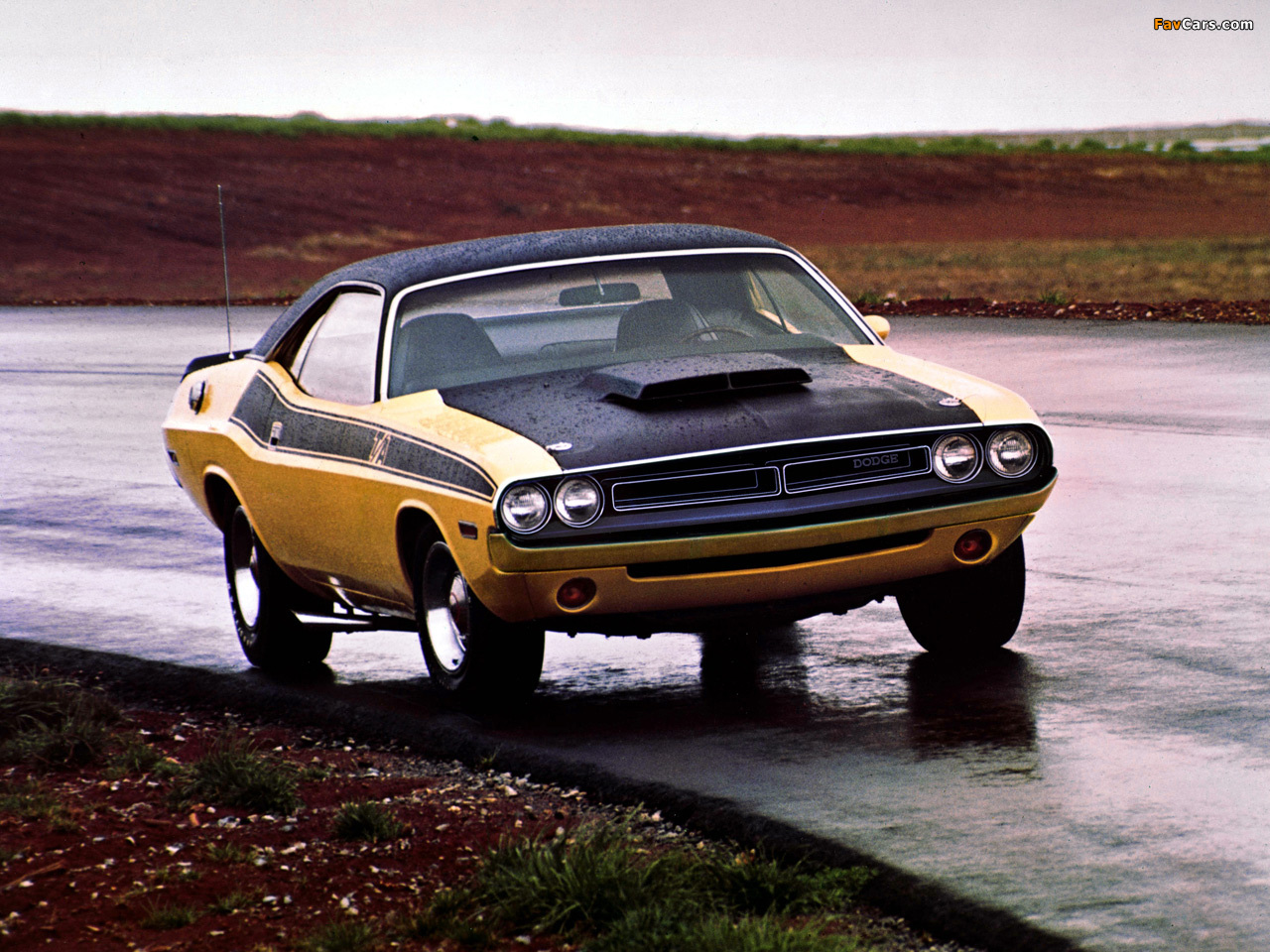 Dodge Challenger T/A 1971 pictures (1280 x 960)
