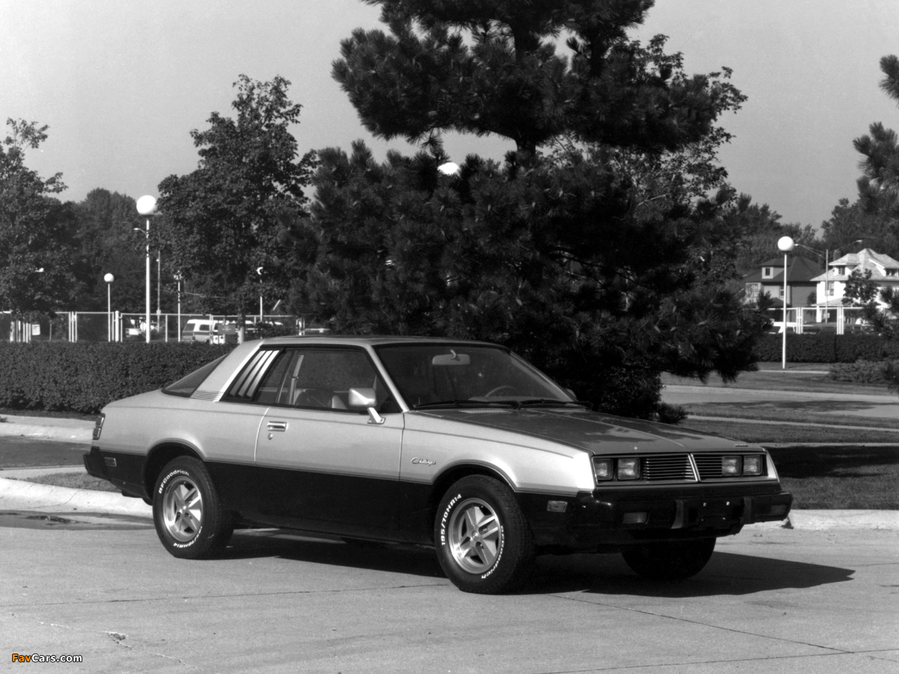 Dodge Challenger 1978–80 photos (1280 x 960)