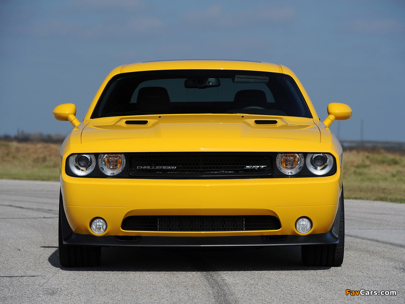 Hennessey Dodge Challenger SRT8 392 Yellow Jacket (LC) 2012 pictures (800 x 600)