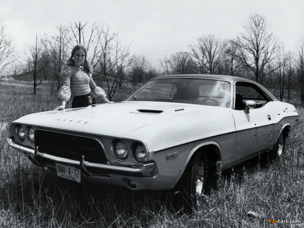 Images of Dodge Challenger 1972 (1024 x 768)