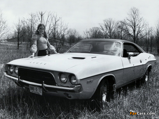 Images of Dodge Challenger 1972 (640 x 480)