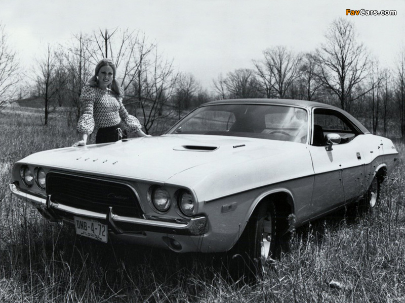 Images of Dodge Challenger 1972 (800 x 600)