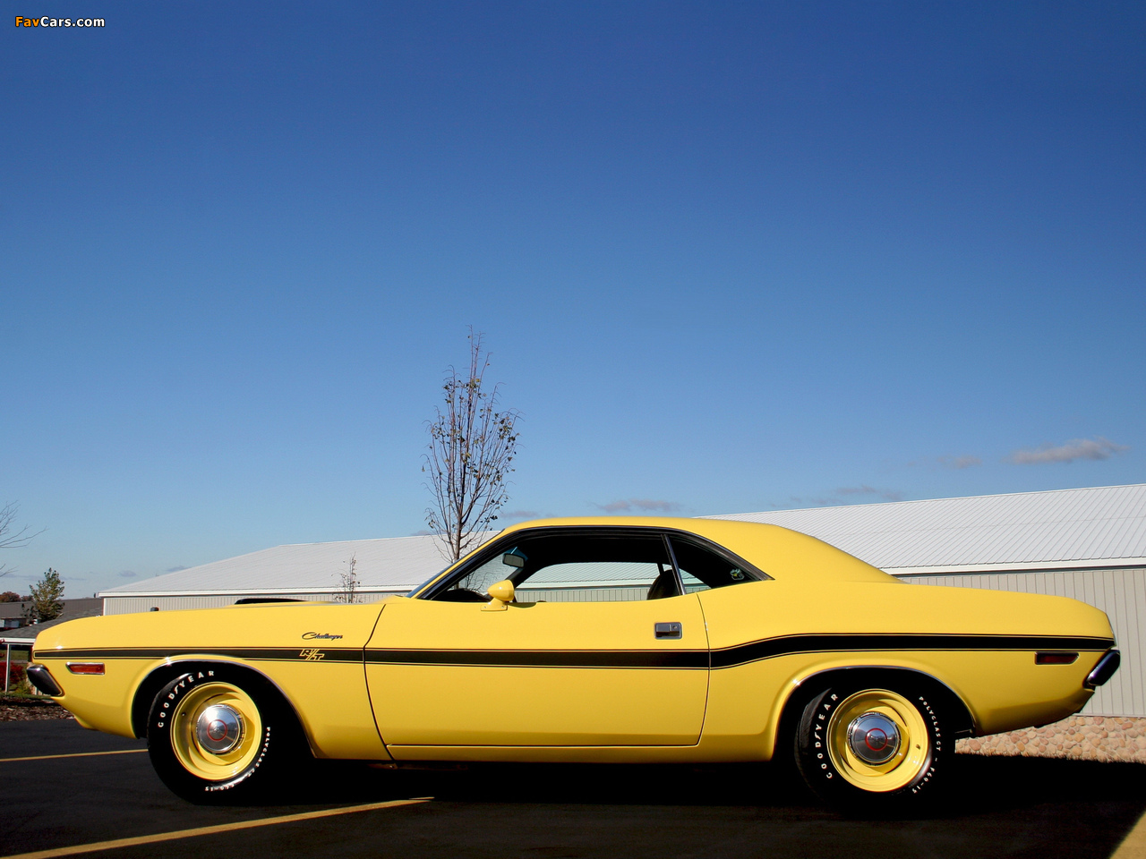 Photos of Dodge Challenger R/T 1970 (1280 x 960)