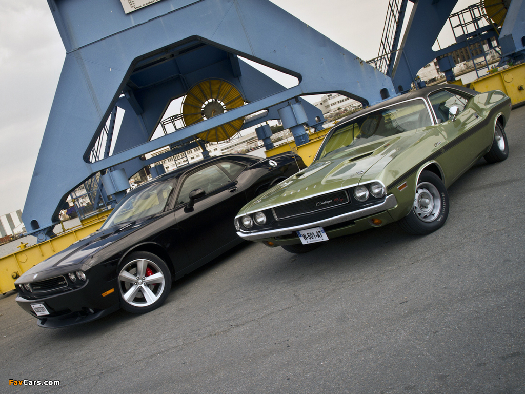 Photos of Dodge Challenger (1024 x 768)