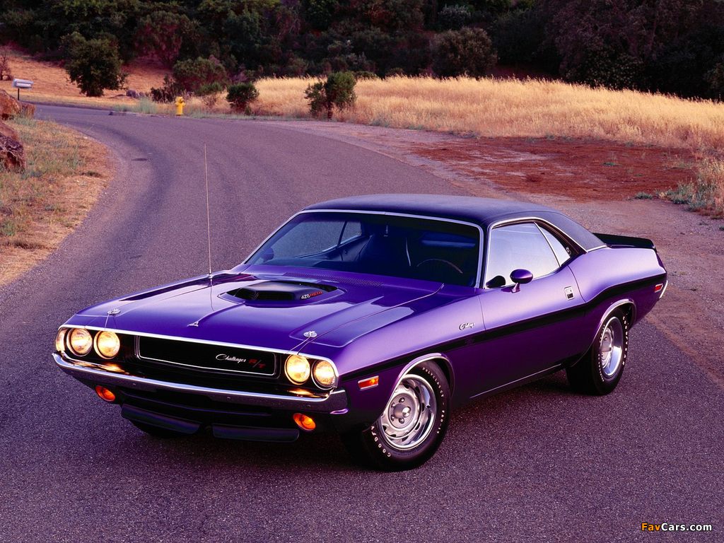 Pictures of Dodge Challenger R/T 1970 (1024 x 768)