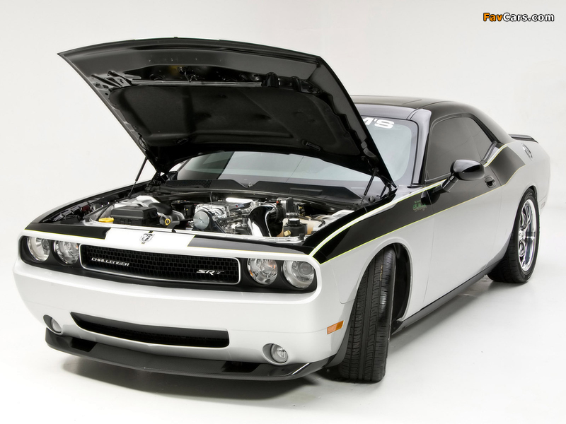 Pictures of Mr. Norms Super Challenger (LC) 2009–10 (800 x 600)