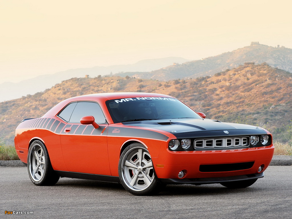 Mr. Norms Super Cuda (LC) 2009–10 wallpapers (1024 x 768)