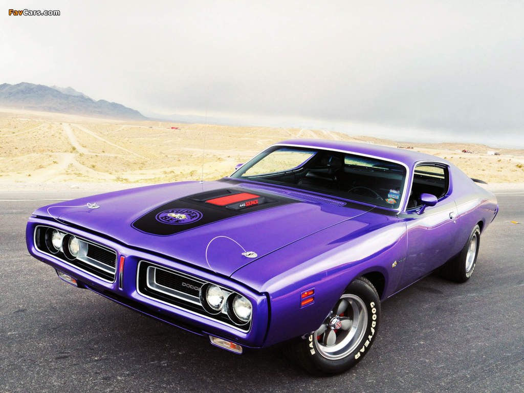 Dodge Charger Super Bee 1971 pictures (1024 x 768)