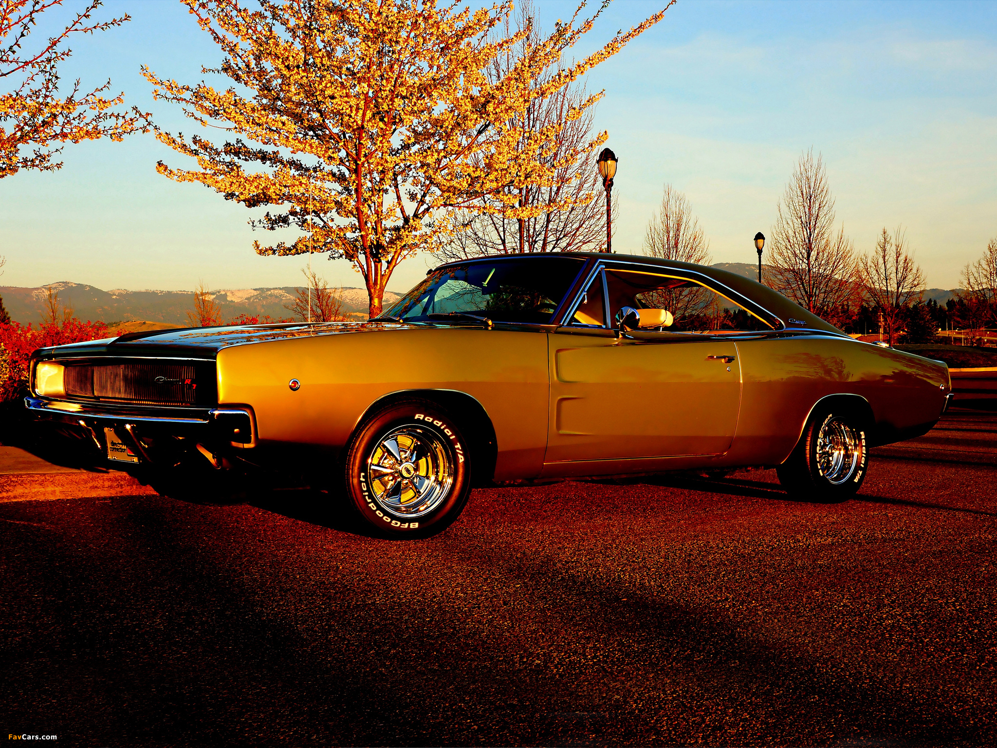 Images of Dodge Charger R/T 1968 (2048 x 1536)