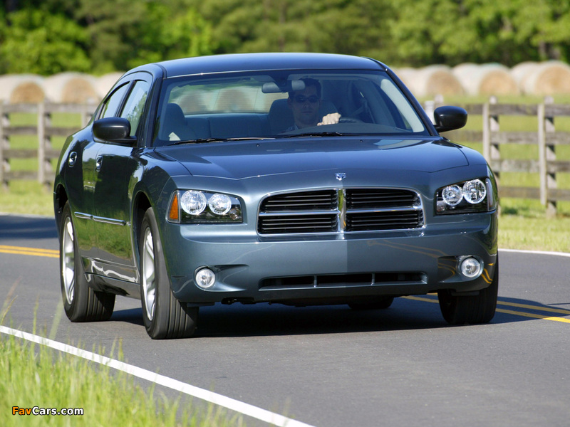 Dodge Charger 2005–10 wallpapers (800 x 600)