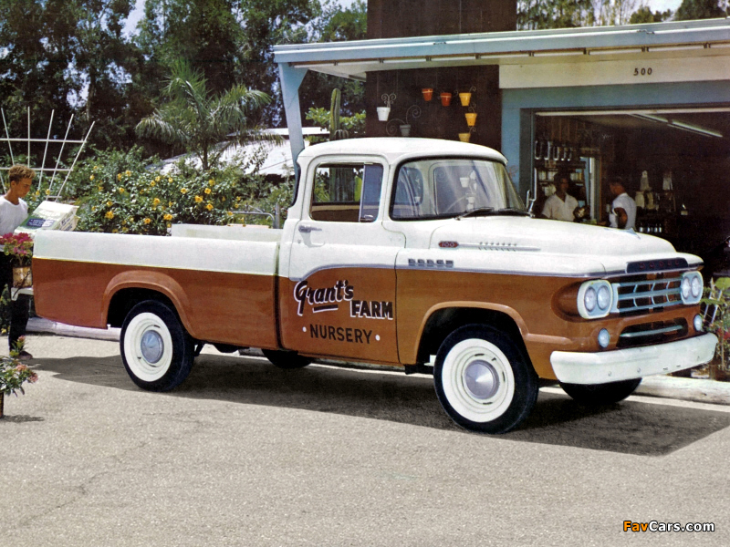 Dodge D100 Sweptline Pickup 1959 pictures (800 x 600)