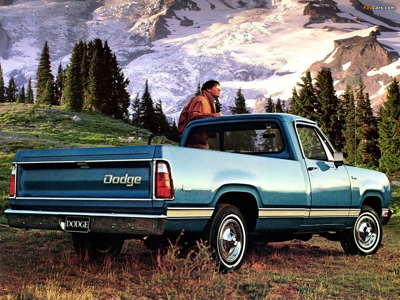 Dodge D100 Custom Special Pickup 1975 wallpapers (1280 x 960)