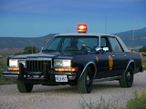 Pictures of Dodge Diplomat Police Car 1981–89