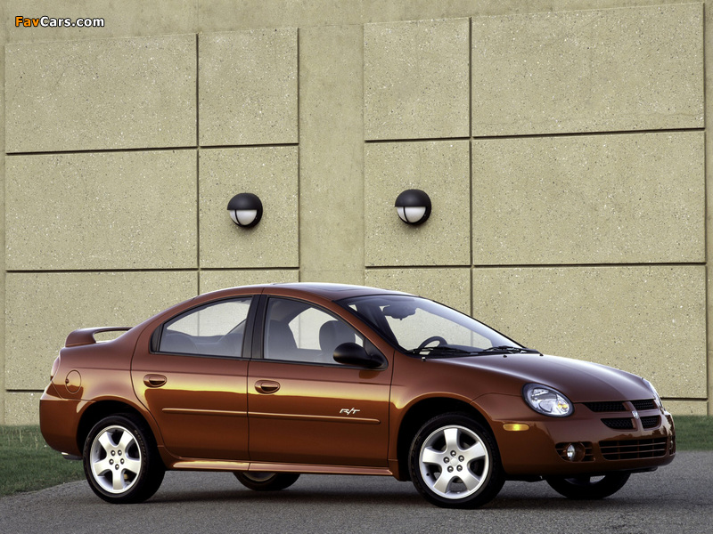 Dodge Neon R/T 2003–04 photos (800 x 600)