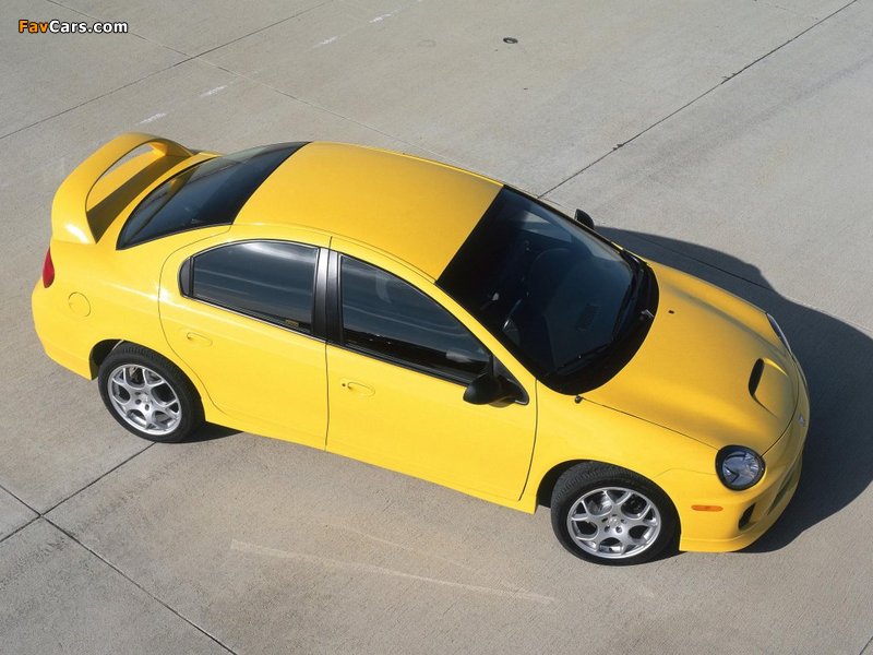 Pictures of Dodge SRT-4 2003–05 (800 x 600)