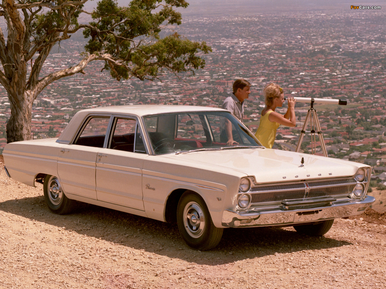 Photos of Dodge Phoenix Sedan (AP2D) 1965–66 (1280 x 960)