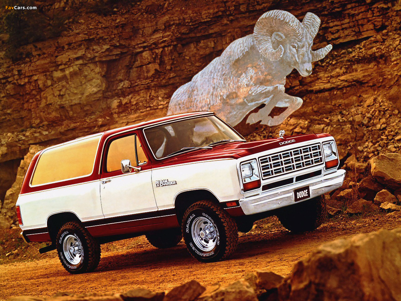 Dodge Ramcharger 1981 images (1280 x 960)