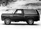 Dodge Ramcharger 1982 photos