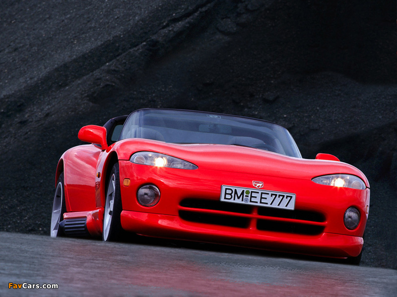 Dodge Viper RT/10 1992–95 photos (800 x 600)