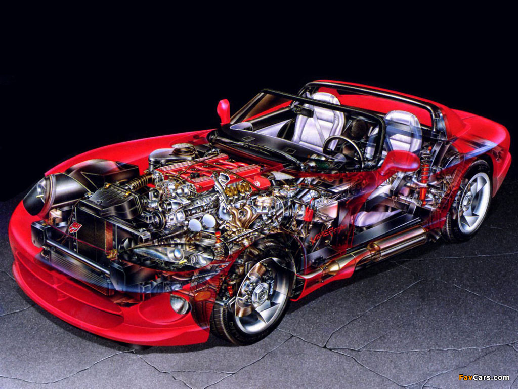 Dodge Viper RT/10 1992–95 photos (1024 x 768)