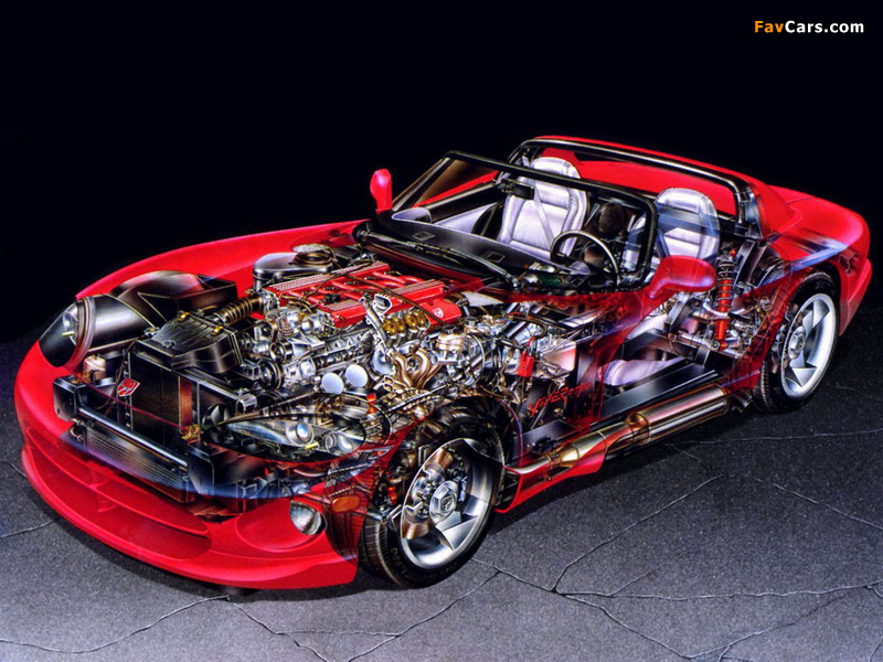 Dodge Viper RT/10 1992–95 photos (800 x 600)