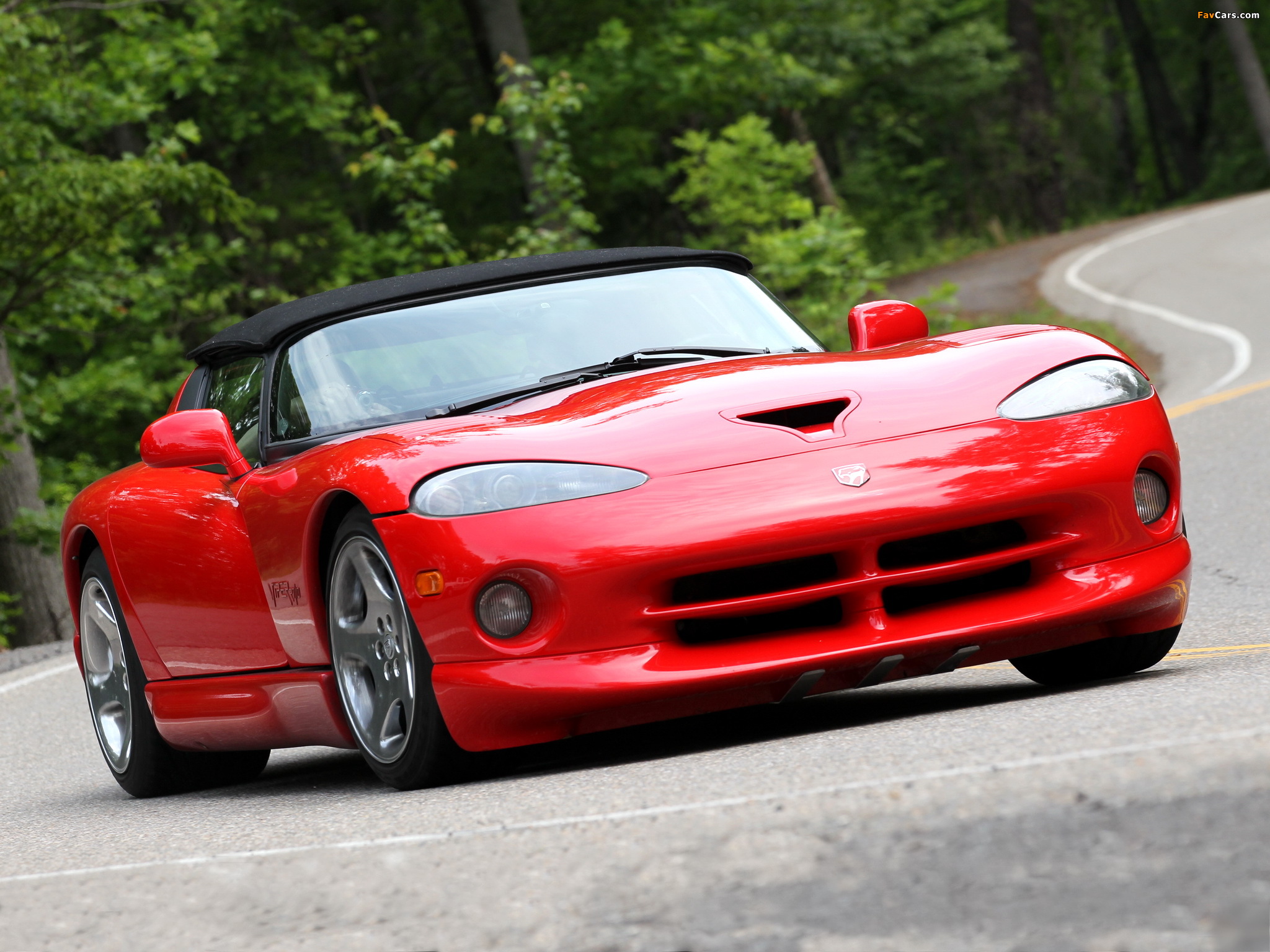 Dodge Viper RT/10 1996–2002 pictures (2048 x 1536)