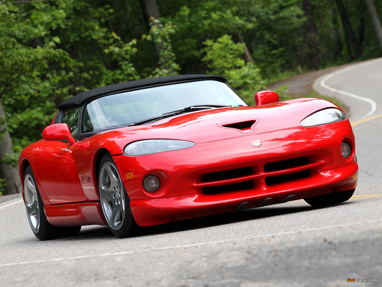 Dodge Viper RT/10 1996–2002 pictures (1280 x 960)