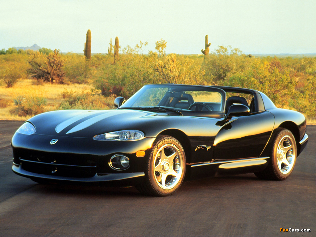 Dodge Viper RT/10 1996–2002 pictures (1024 x 768)