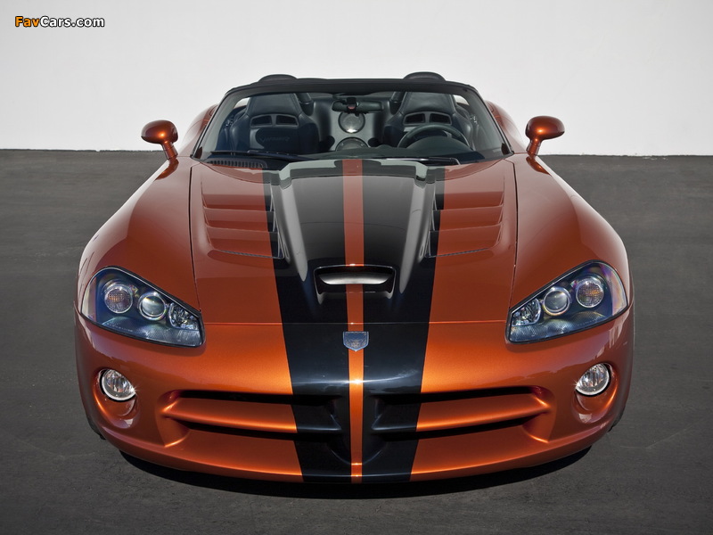 Dodge Viper SRT10 Roadster 2008–10 photos (800 x 600)