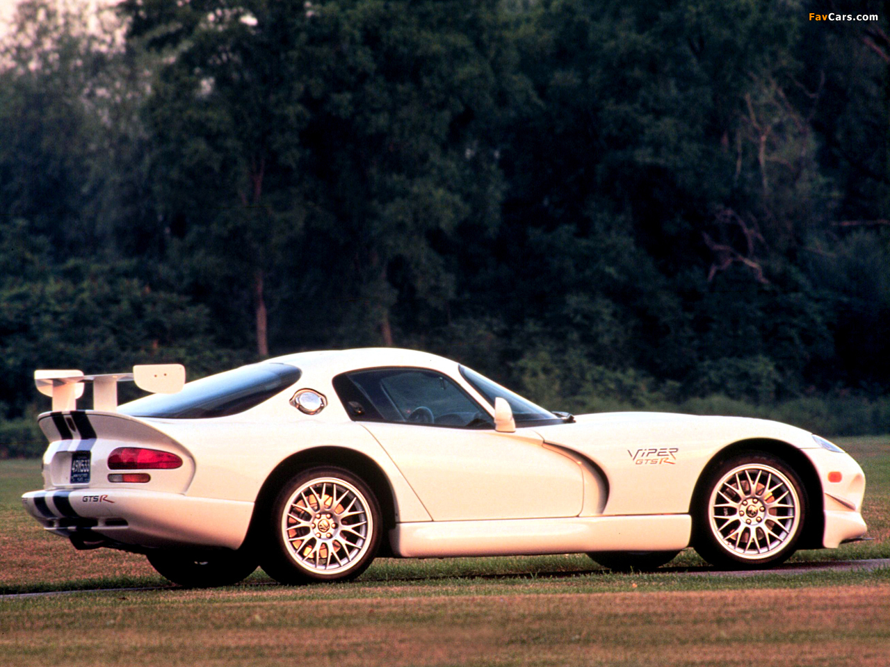 Images of Dodge Viper GTS-R GT2 Championship Edition 1998 (1280 x 960)