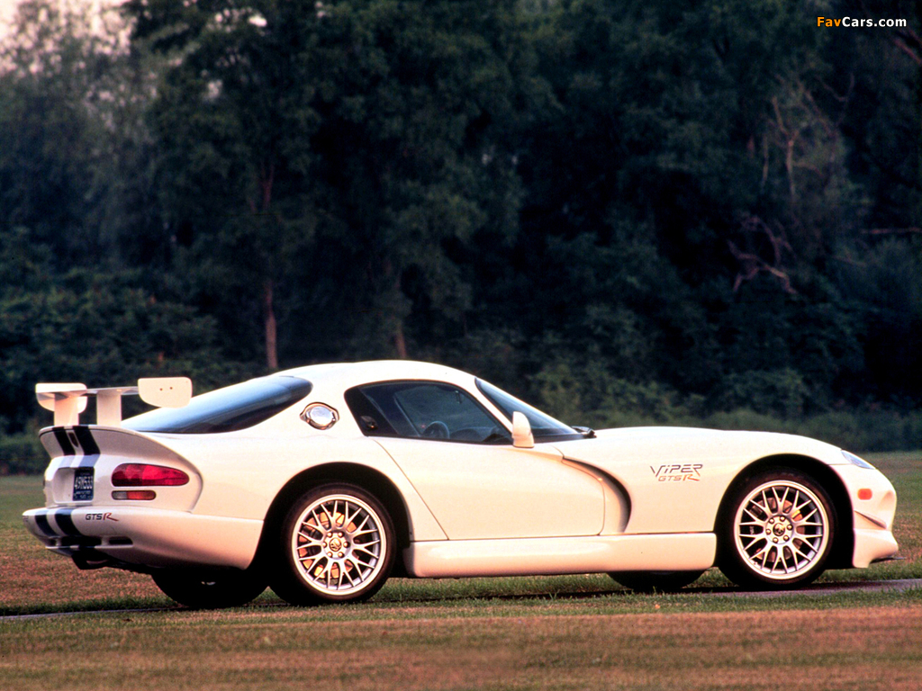 Images of Dodge Viper GTS-R GT2 Championship Edition 1998 (1024 x 768)