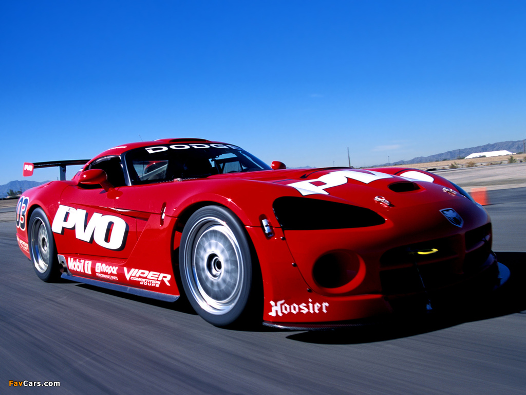 Images of Dodge Viper SRT10 Competition Coupe 2002–07 (1024 x 768)