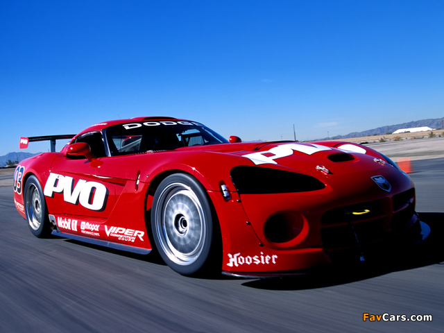 Images of Dodge Viper SRT10 Competition Coupe 2002–07 (640 x 480)