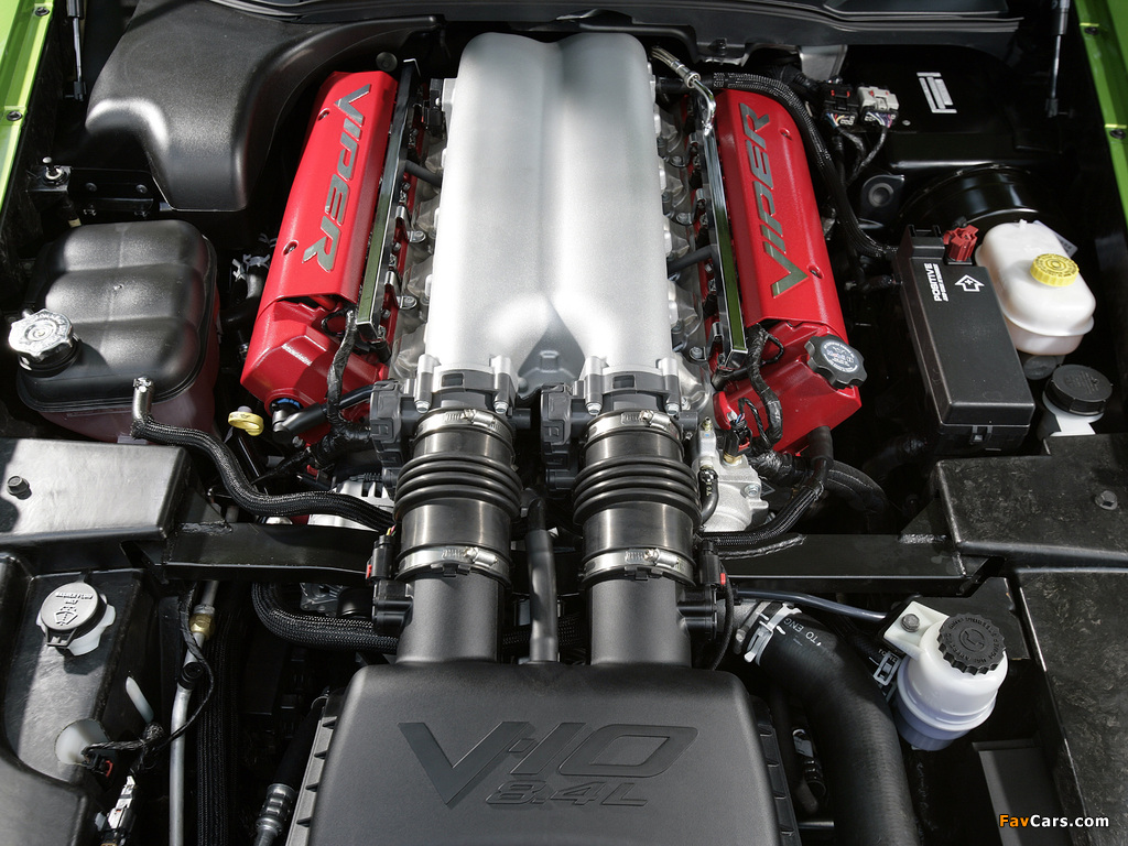 Photos of Dodge Viper SRT10 Roadster 2008–10 (1024 x 768)