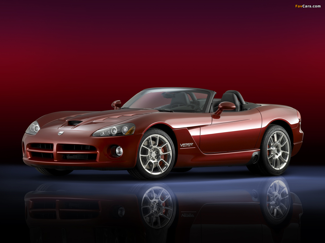 Pictures of Dodge Viper SRT10 Roadster 2008–10 (1280 x 960)
