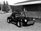 Photos of FF Roadster 1974–77