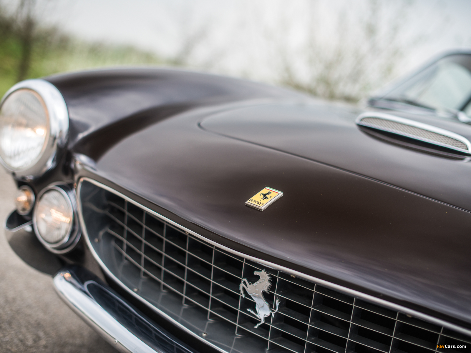 Ferrari 250 GT Berlinetta Lusso 1963–1964 photos (1600 x 1200)