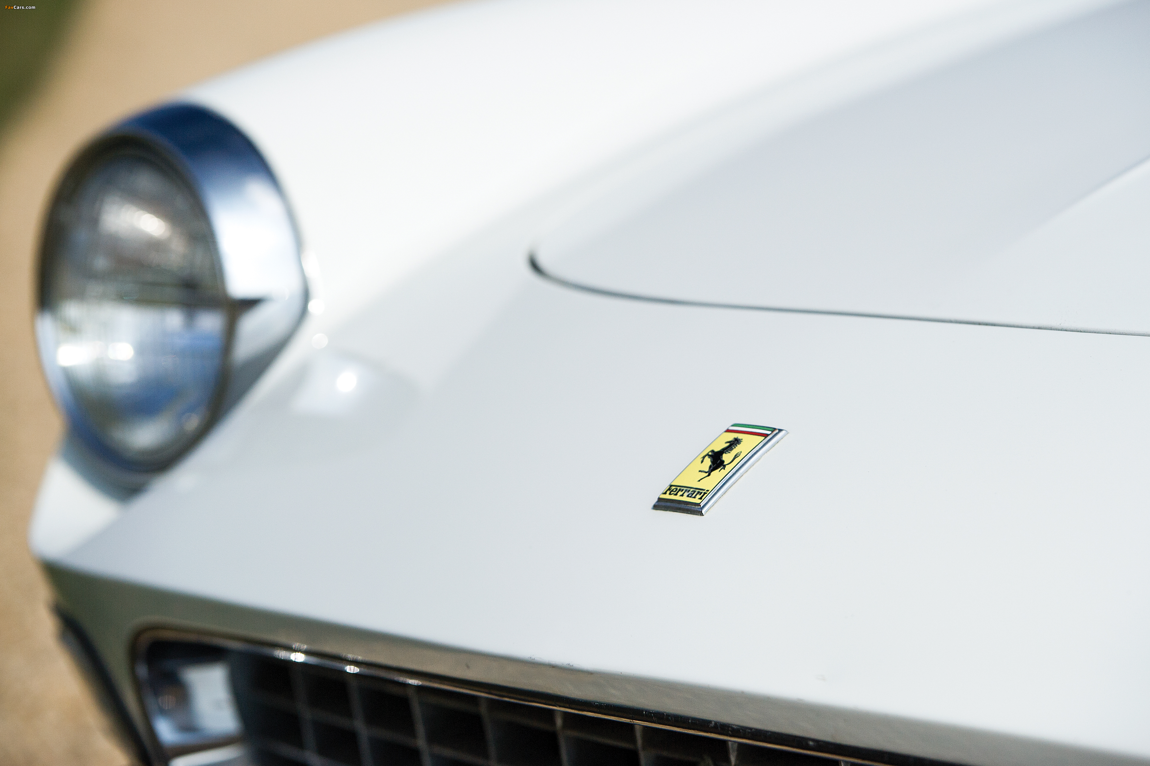 Ferrari 275 GTS 1964–1966 wallpapers (3805 x 2537)