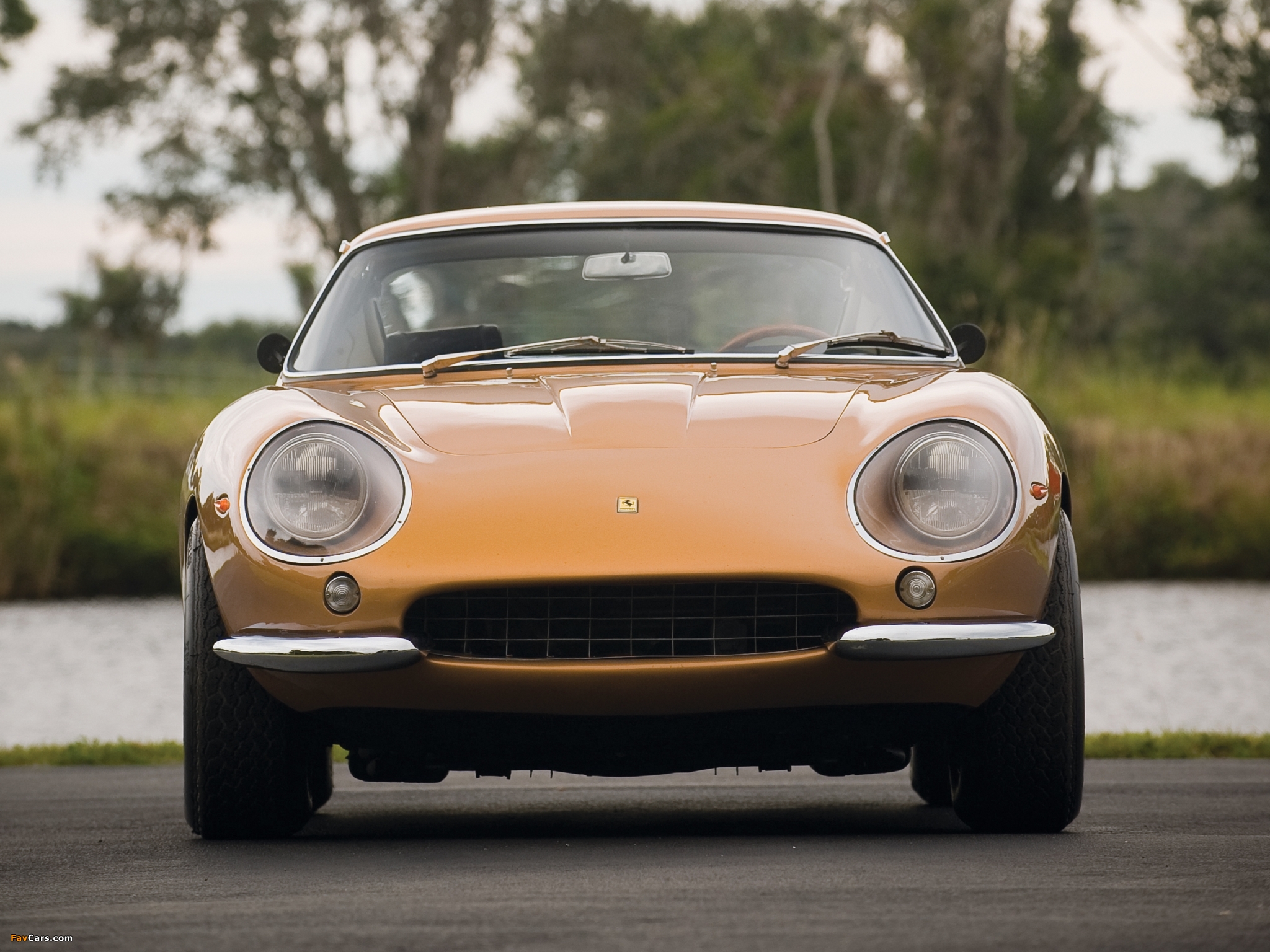 Ferrari 275 GTB/4 1966–68 pictures (2048 x 1536)