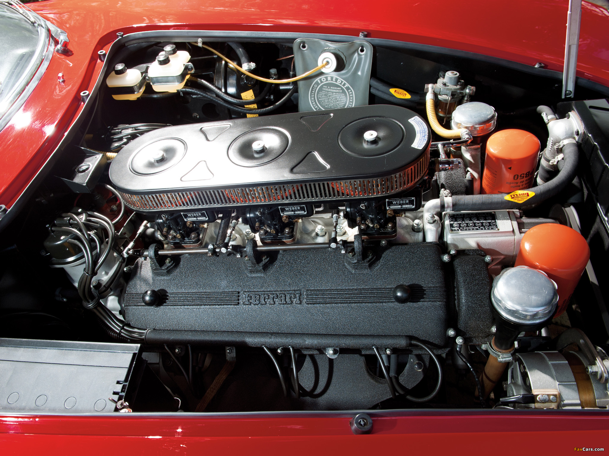 Photos of Ferrari 275 GTB/6C Scaglietti Shortnose 1965–66 (2048 x 1536)