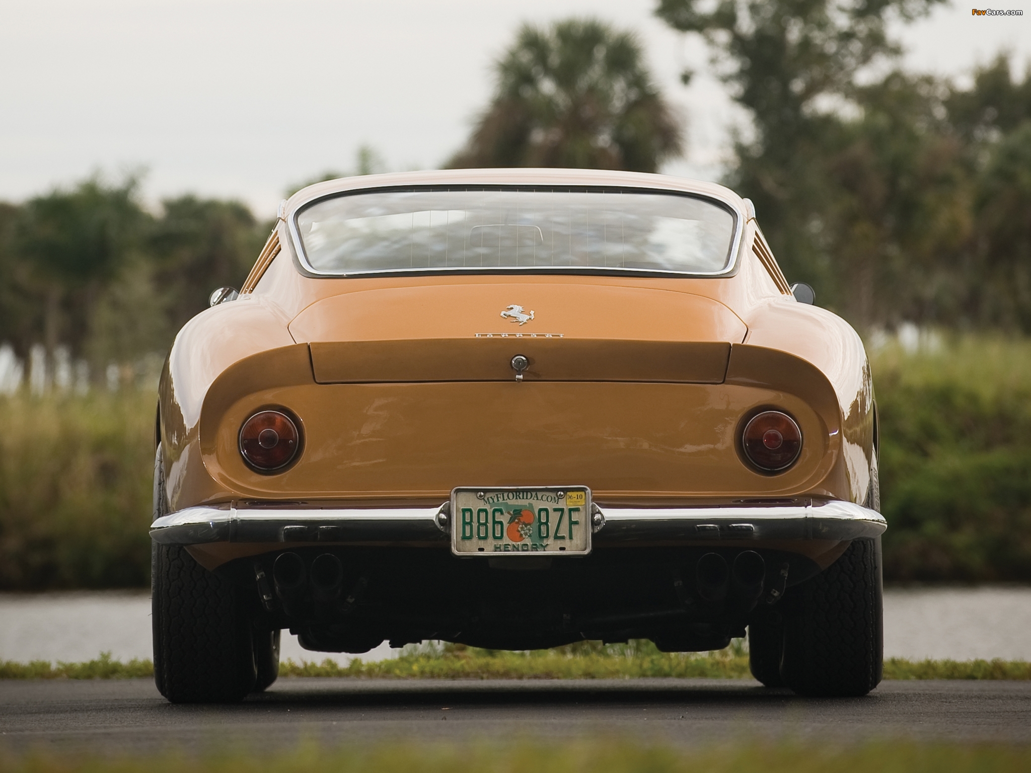 Photos of Ferrari 275 GTB/4 1966–68 (2048 x 1536)