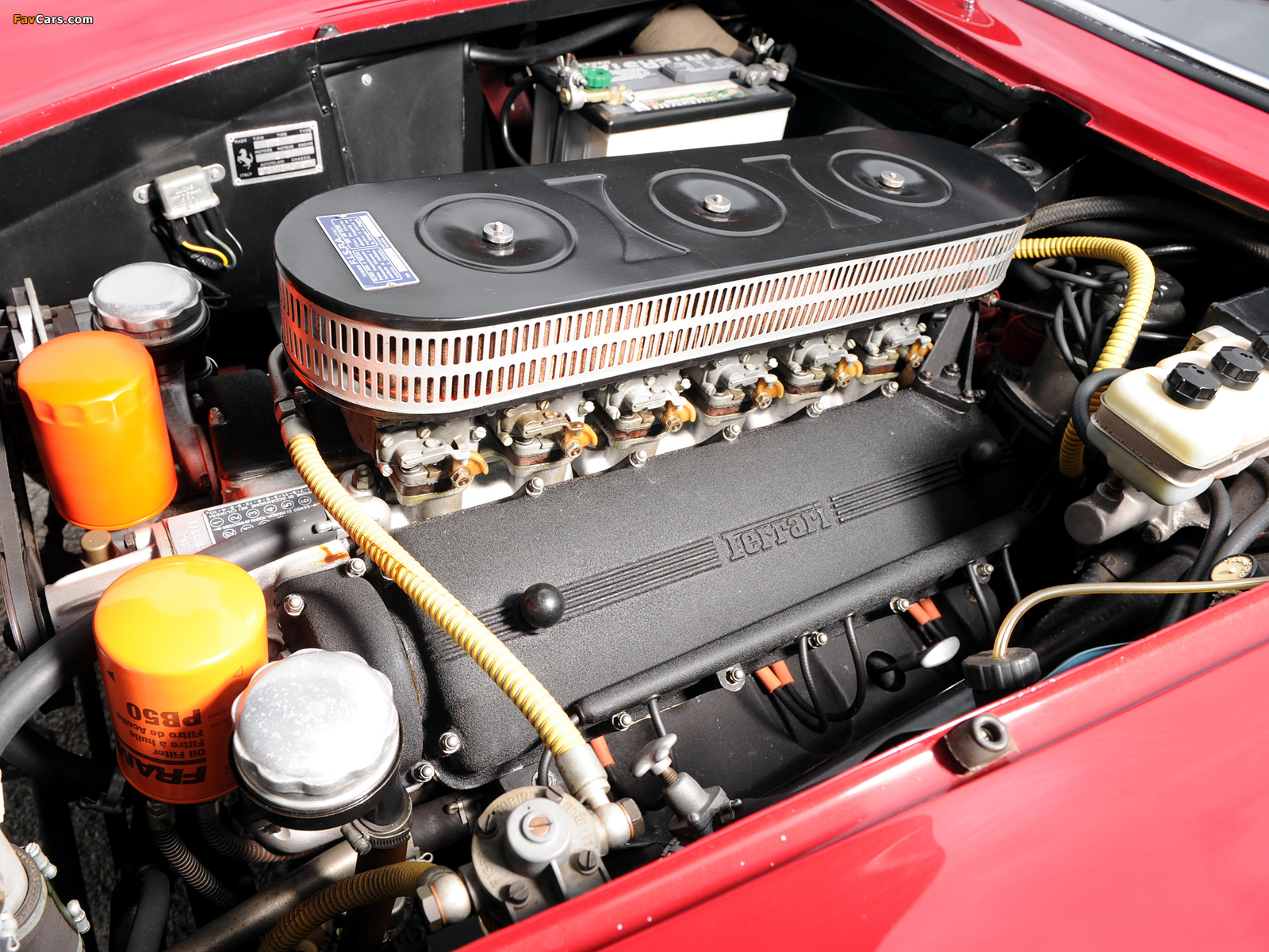 Pictures of Ferrari 275 GTB/6C Scaglietti Shortnose 1965–66 (1600 x 1200)