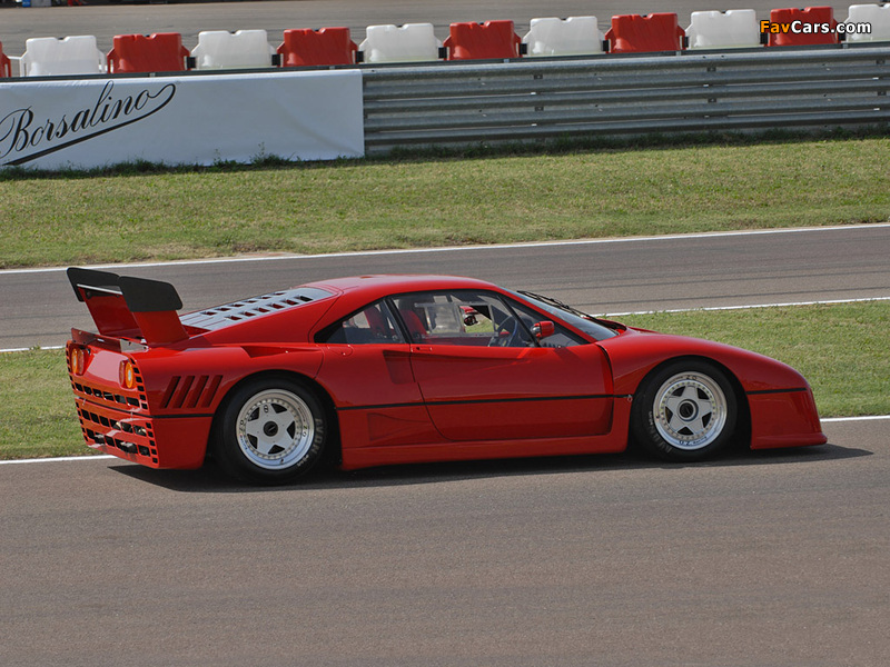 Ferrari 288 GTO Evoluzione 1987 images (800 x 600)