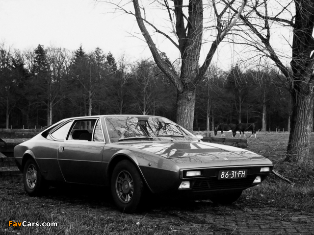 Ferrari Dino 308 GT4 1974–80 pictures (640 x 480)