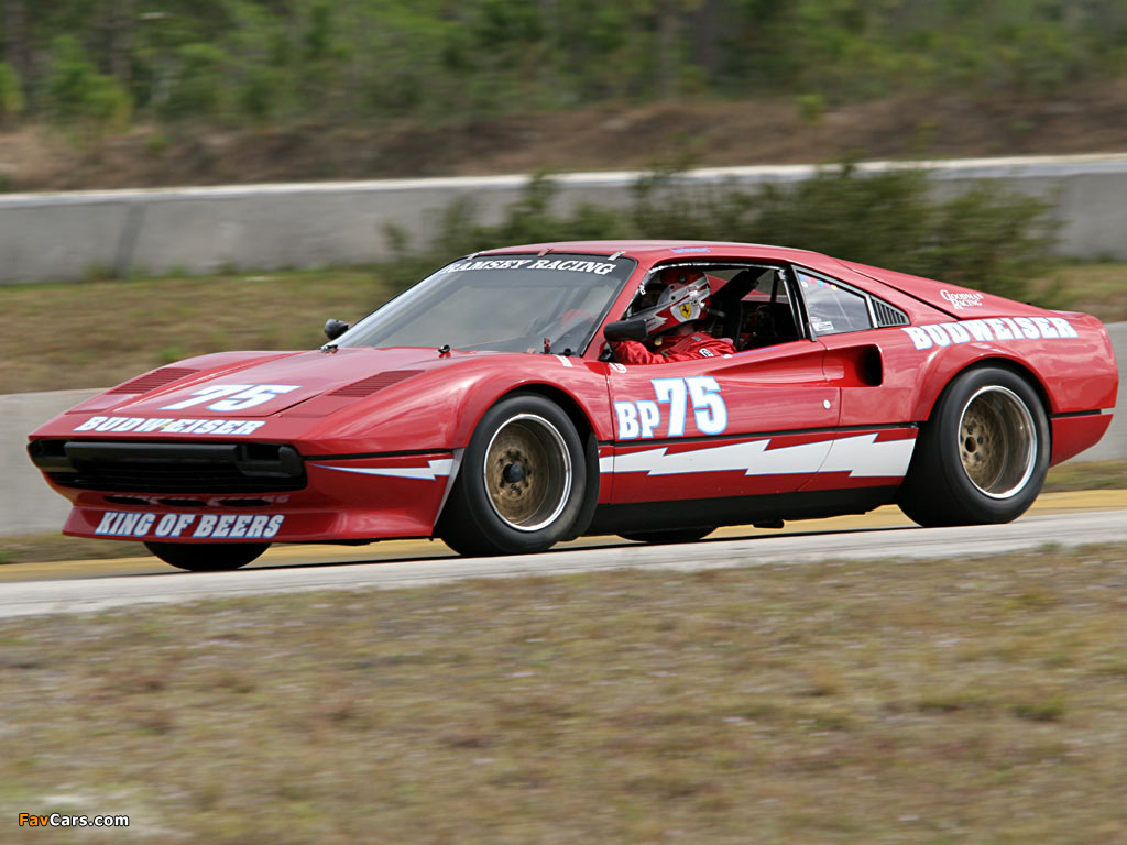 Ferrari 308 GTB Group 4 Michelotto 1978–85 wallpapers (1024 x 768)