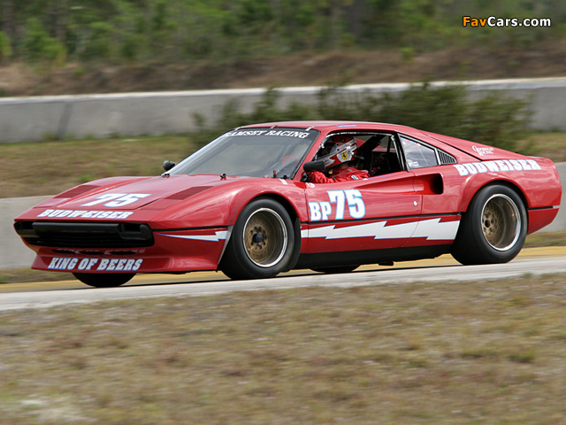 Ferrari 308 GTB Group 4 Michelotto 1978–85 wallpapers (640 x 480)